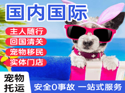 深圳宝安空运地址国际宠物托运 【国